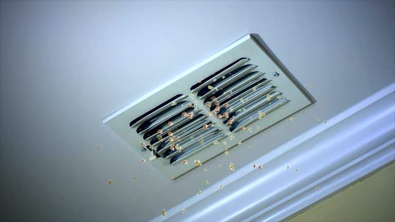 Air Duct Mold Removal in OK